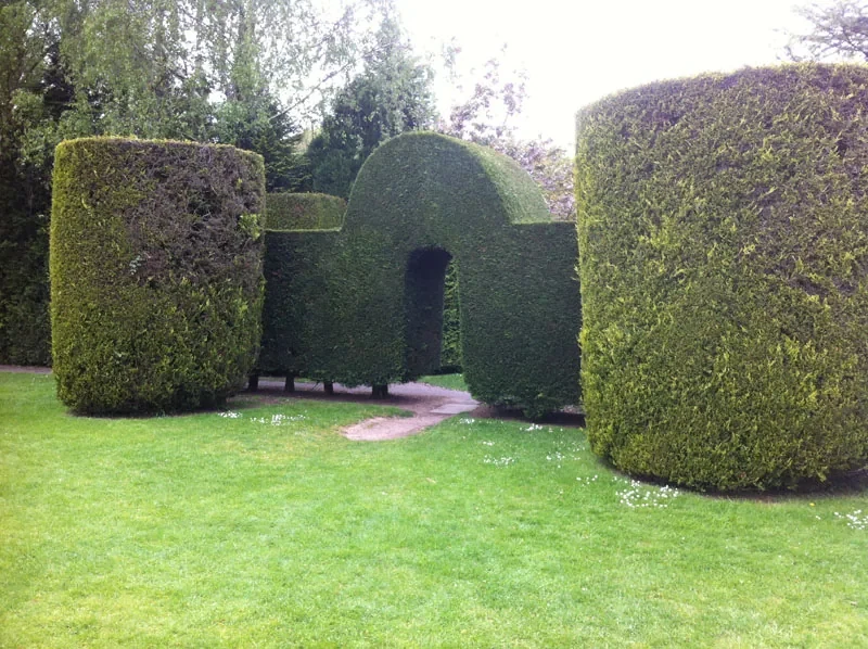 Formally shaped garden hedges with rounded forms and an arched opening