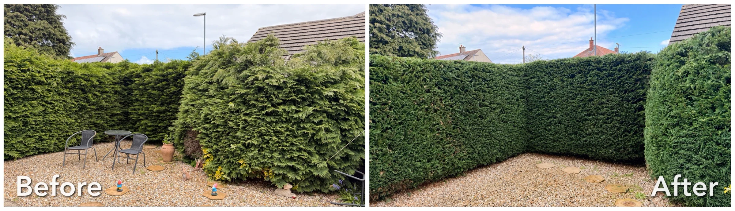 Wide before and after comparison of formal garden hedges restored to an even shape