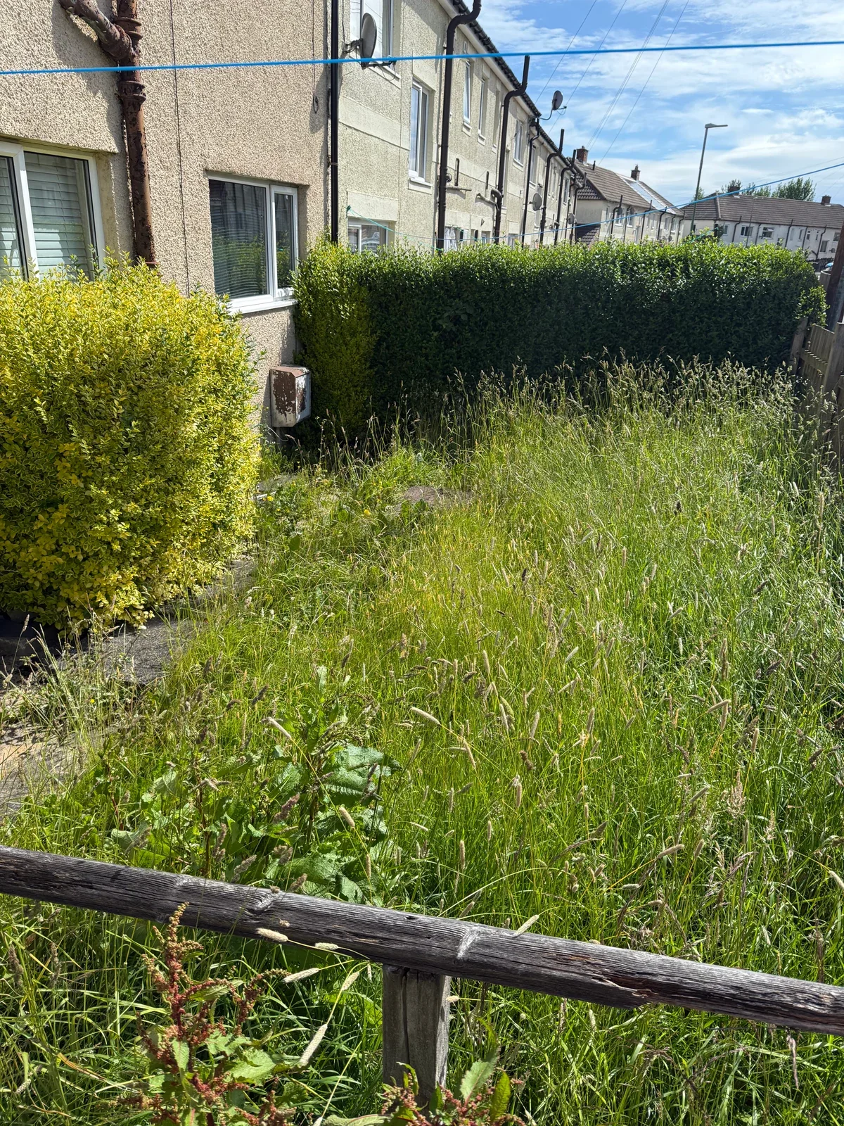 Long grass and dense garden growth beyond a timber rail before clearance in Newton Aycliffe