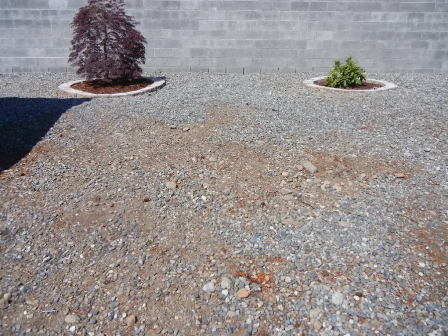 Finished garden surface after stump grinding and ground preparation