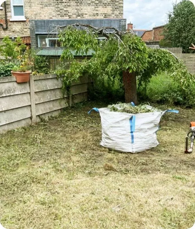 Cleared garden ground with an established small tree retained