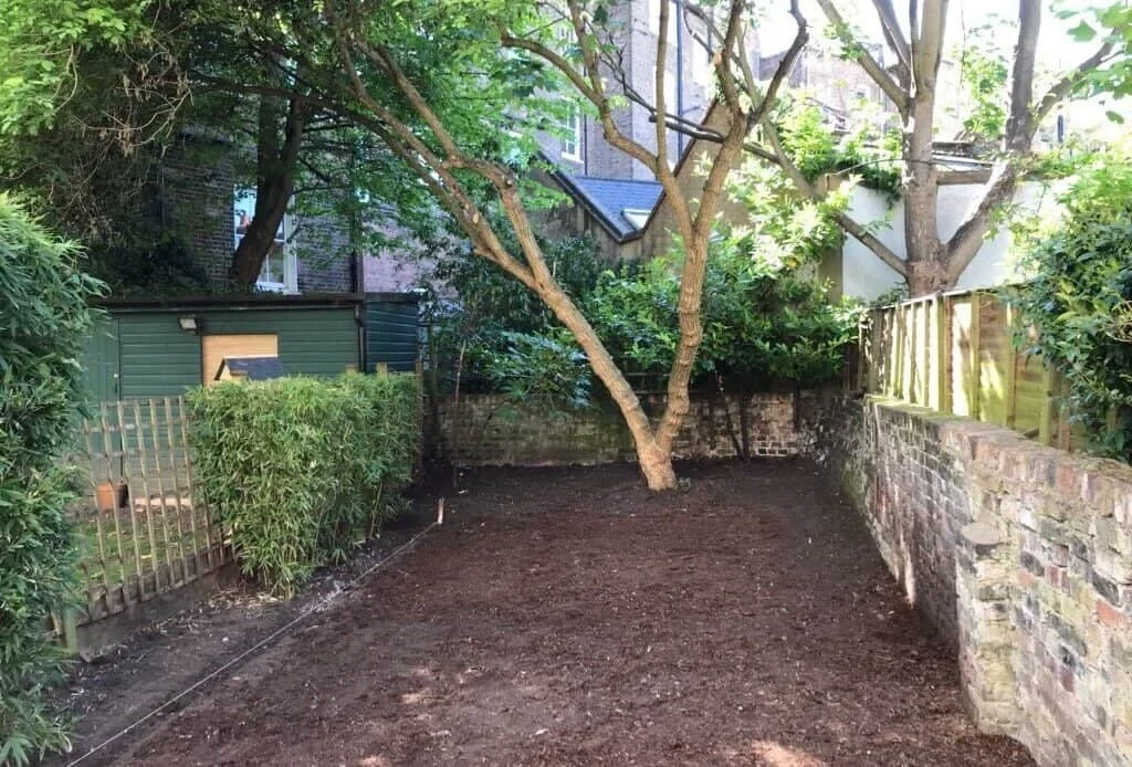 Cleared garden ground around a retained tree beside brick and timber boundaries
