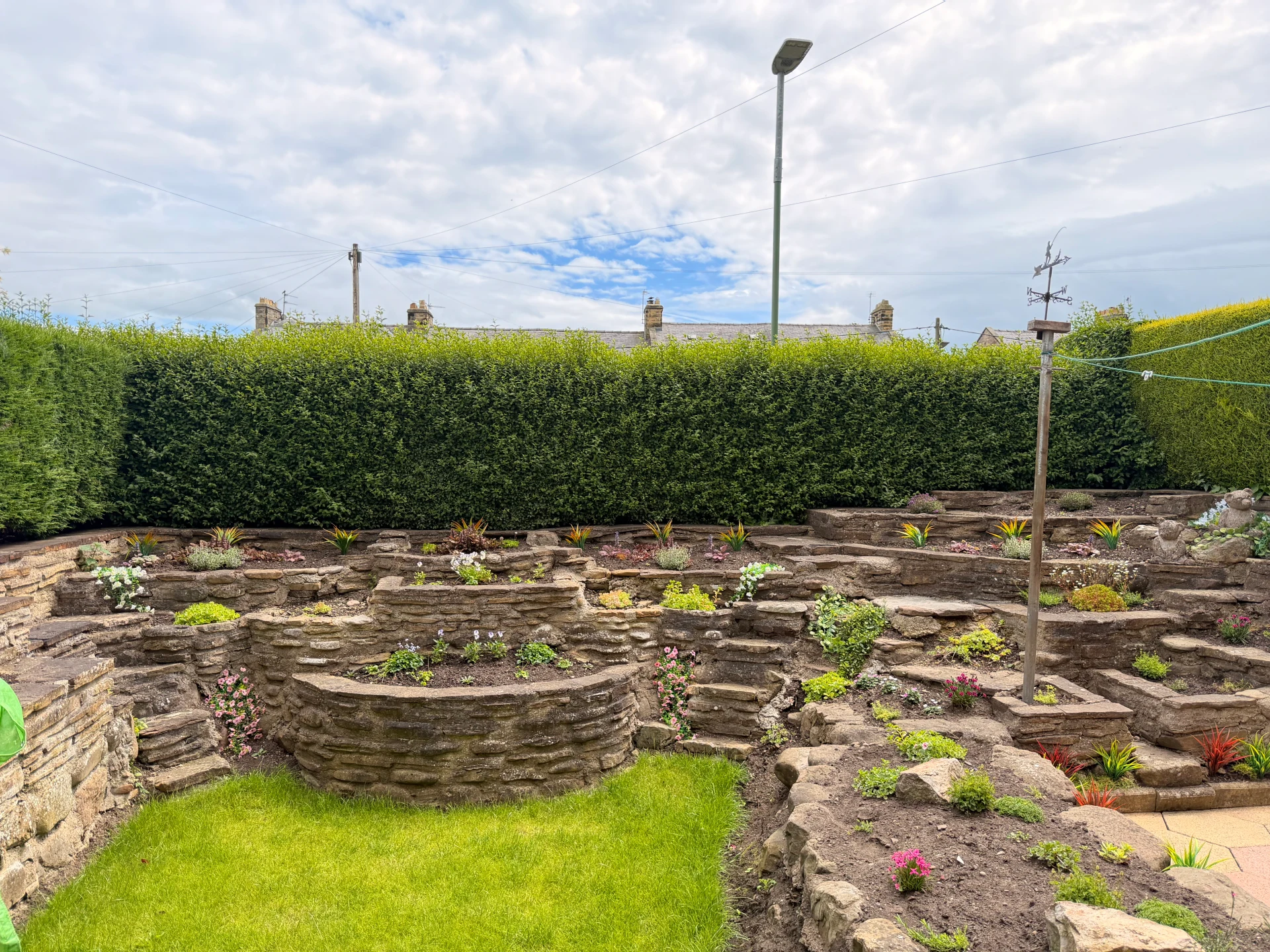 Uneven fresh growth along the hedge above the stone beds before cutting
