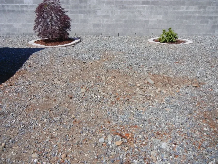 The same gravel bed after stump grinding, with projecting wood no longer visible