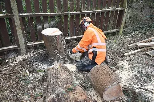 Tree worker carrying out a sectional removal beside a garden boundary