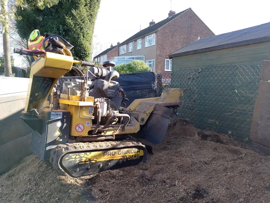 Stump grinder working in a garden bed beside a green shed and chain-link fence
