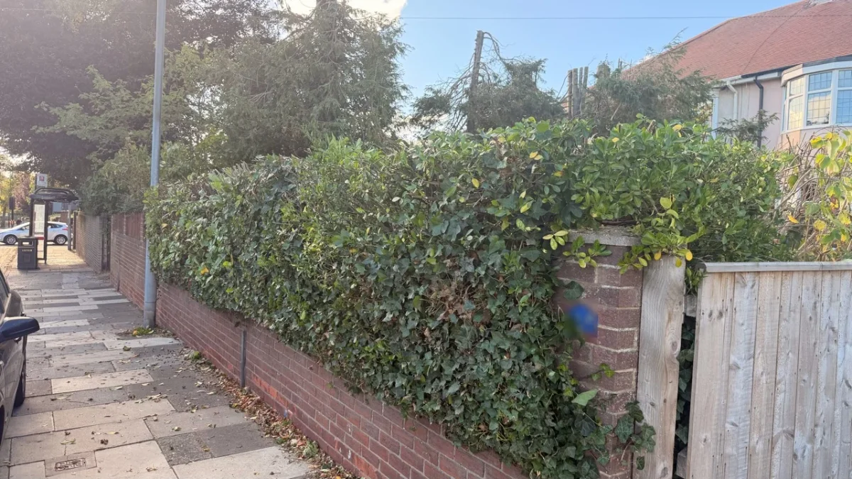 The same roadside hedge and brick wall after height reduction in Sunderland