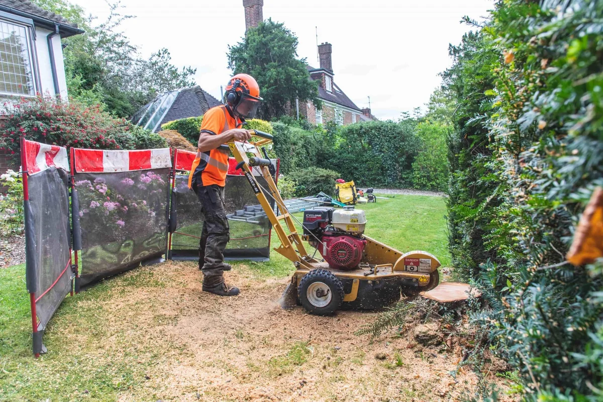 Stump grinding work in County Durham